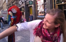 Žebráním za obohacení života papoušků? Čarkovi vybírají za focení s ptáky peníze