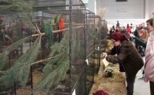 Výstava Exotika 2011 Lysá nad Labem