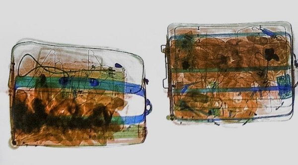 Rentgen zavazadel pašeráka ptáků