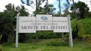 Monte Del Estado