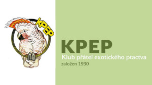 KPEP