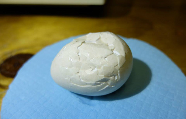 Stav vejce kakapa sovího před záchranou (Foto: Kakapo Recovery Team)