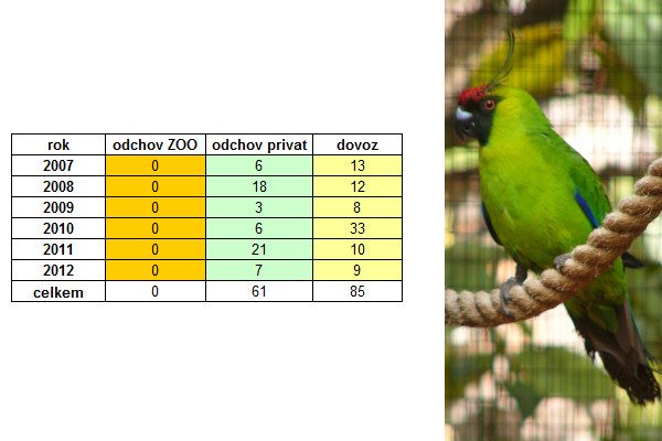 CITES_Papoušek chocholatý