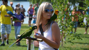 Den papoušků na Krásném u Šumperka (Foto: archiv Petry Horákové)