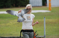 Nesmyslné spory na Facebooku degradují myšlenku volného létání papoušků v Česku