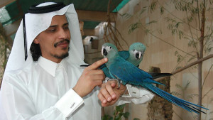 Šejk Saud bin Mohammed Al-Thani. © AWWP, Hammer