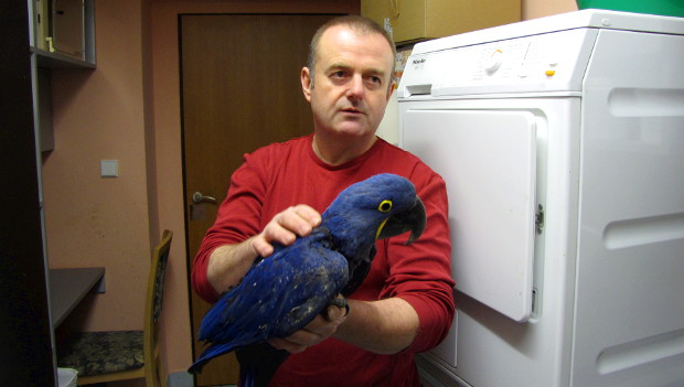 Jaroslav Jelínek: Ary hyacintové se nám podařilo odchovat až po 14 letech, ale stálo to za to