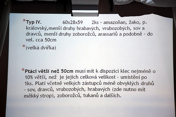 Pravidla pamatují i na větší druhy papoušků (Foto: Jan Potůček, Ararauna.cz)