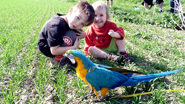 Minisraz „volnoletářů“ v Hlučíně: přípravka na tradiční letní celostátní setkání u Šumperka