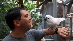 Válečný veterán s papouškem