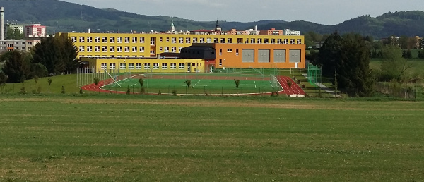 Ideálním místem pro výcvik volného letu papoušků je školní hřiště (Foto: Zdeněk Krňávek)
