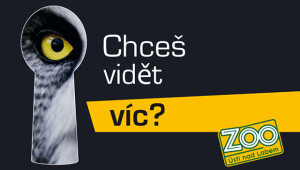 Zoo Ústí nad Labem