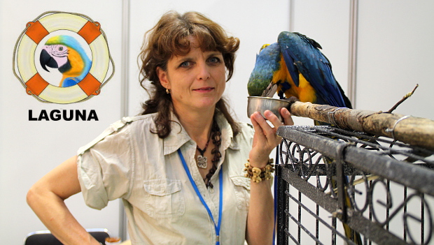 Magdalena Žohová: Málokterý papoušek si „sedne“ se svým majitelem, následky pak bývají hrozné