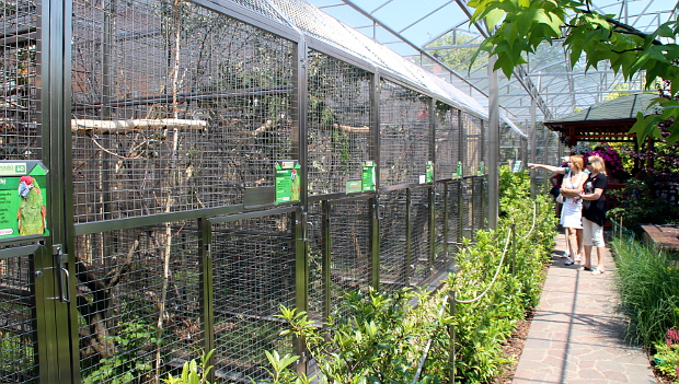 Papouščí zoo Bošovice letos posílí o deset nových druhů papoušků, sezónu zahájí 1. března