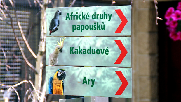Papouščí zoo v Bošovicích předstihla Prahu, chová už 41 druhů papoušků
