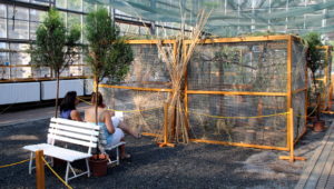 Botanická zahrada 2015