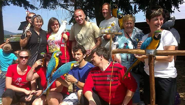 Papouščí den na Krásném u Šumperka živě: sledujte sraz s volným létáním papoušků online!