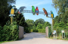 Ptačí park a zoo Veldhoven v Holandsku je na prodej, zájemce je může získat za pět milionů euro