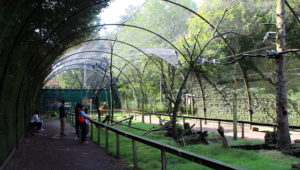 Zoo Veldhoven