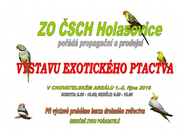 Holasovice 2016