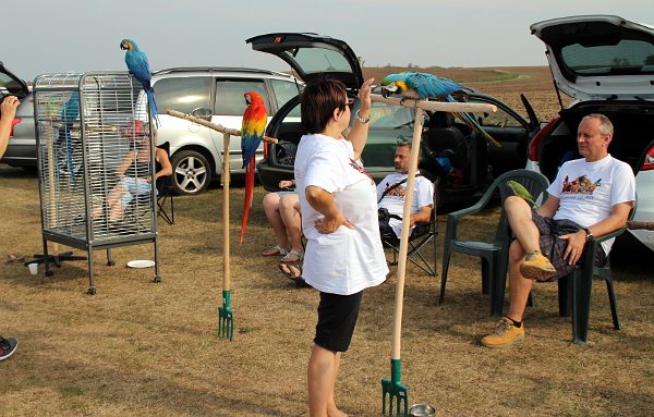 Relax během přestávky mezi létáním (Foto: Jan Potůček, Ararauna.cz)
