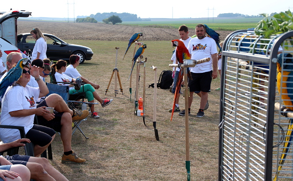 Široko daleko samé pole... Ideální místo pro volné létání papoušků. (Foto: Jan Potůček, Ararauna.cz)