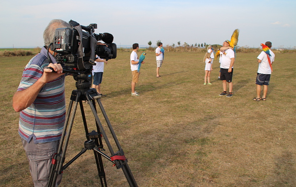 První záběry pro Primu – příprava na hromadný start volně létajících papoušků (Foto: Jan Potůček, Ararauna.cz)