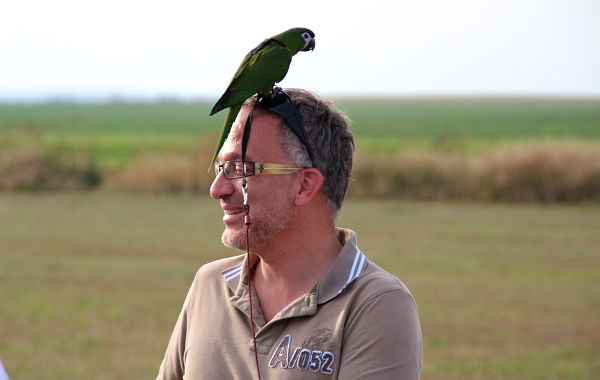 Dramaturgovi Vašeho Prima Receptáře Jakubu Motejzíkovi přistál na hlavě ara červenoramenný (Foto: Jan Potůček, Ararauna.cz)