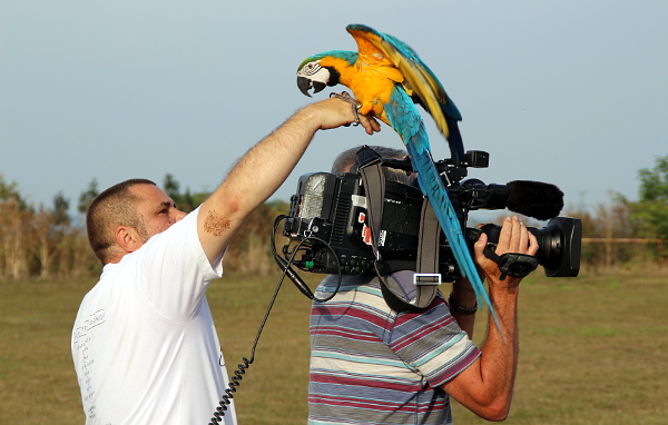 Ararauna přistála během natáčení rozhovoru přímo na kameru (Foto: Jan Potůček, Ararauna.cz)