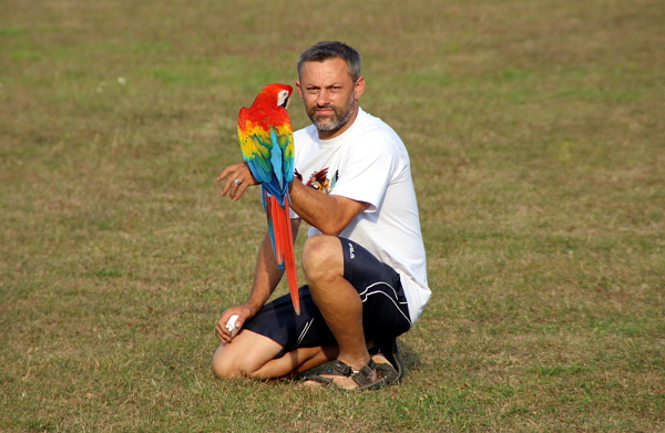 Václav Froněk připraven vypustit aru arakangu na volný let (Foto: Jan Potůček, Ararauna.cz)