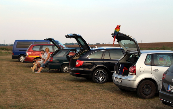 Zátiší s arakangou (Foto: Jan Potůček, Ararauna.cz)