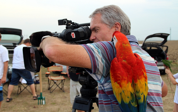 Na kameramanovi přistál další ara, tentokrát arakanga (Foto: Jan Potůček, Ararauna.cz)