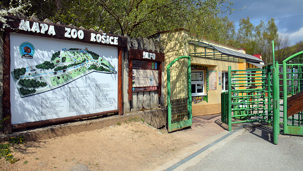 Ptačí chřipka uzavřela zoologickou zahradu v Košicích. Jak se nákaze brání české zoo?