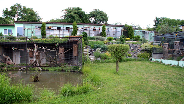 Na návštěvě chovatelského zařízení Arasféra v Malhoticích u Hranic na Moravě