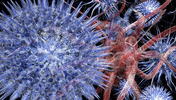 Itálie a Nizozemí hlásí nová ohniska ptačí chřipky, dokonce i typ H5N6 přenosný na člověka