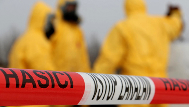 Česko po 20 letech eviduje případ Newcastleské choroby drůbeže, přenosná je i na papoušky