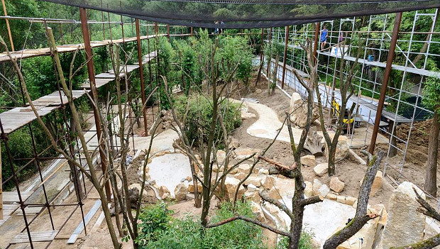 Zlínská zoo finišuje s rekonstrukcí průchozí voliéry pro ary hyacintové a další papoušky