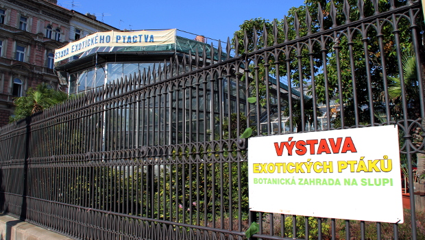 Rosení, rozprašovače, větráky. Výstavu exotů v Botanické zahradě v Praze na Albertově nezastavilo ani vedro