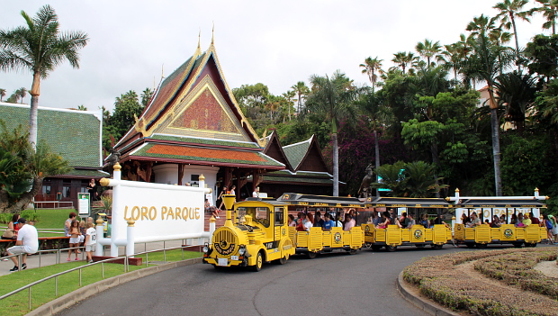 Na návštěvě v Loro Parque, největší papouščí zoo na světě na kanárském ostrovu Tenerife