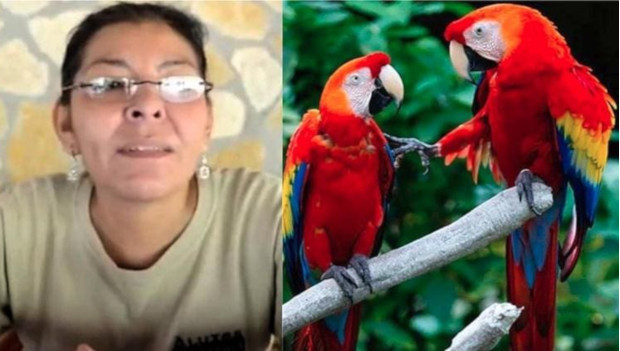 Koordinátorku záchranného projektu arů arakang v mexickém Chiapasu zavraždili