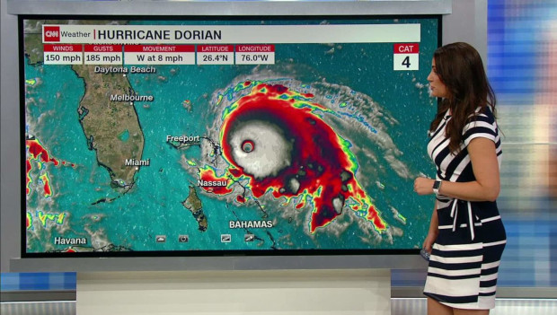 Hurikán Dorian téměř vyhubil bahamský poddruh amazoňana kubánského