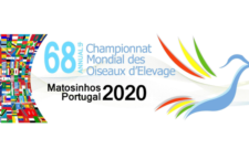 Chcete vystavovat na světovém šampionátu C.O.M. 2020 v Portugalsku? Přihlásit se můžete do 5. prosince