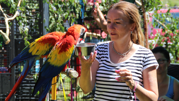 Letošní sraz papouškářů na Krásném u Šumperka se nesl v duchu „volnoletci sobě“