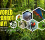 Dnes je Světový den papoušků. Proč se slaví a co se chystá v Česku?