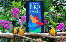 Největší ptačí park v Asii po 52 letech končí. Jurong Bird Park se sloučí se singapurskou zoo