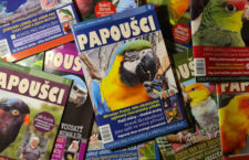 Časopis Papoušci zmizí z novinových stánků. Slibuje posílení předplatného
