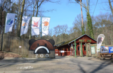 Zoo Děčín preventivně uzavírá Ptačí dům, ornitologové radí nekrmit divoké kachny a labutě