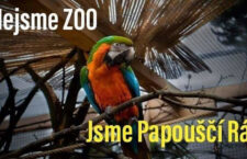 Útulek nebo nelegální zoo? Papouščí ráj čelí správnímu řízení České inspekce životního prostředí
