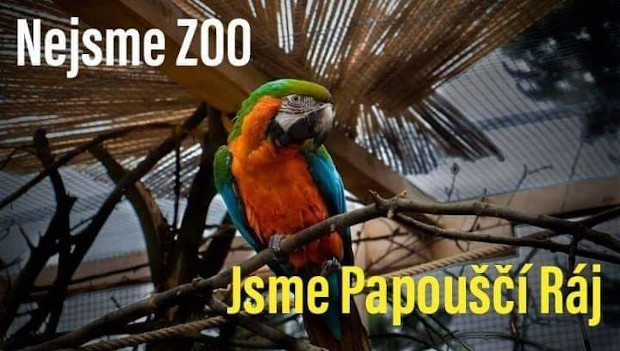 Útulek nebo nelegální zoo? Papouščí ráj čelí správnímu řízení České inspekce životního prostředí