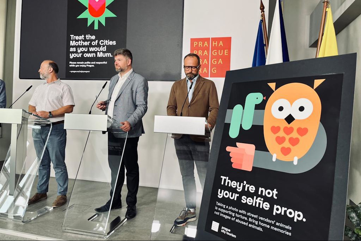 Praha spustila kampaň proti focení turistů se zvířaty na ulici za úplatu, týká se i papoušků